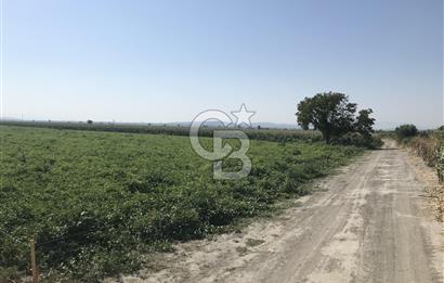 Akhisar Satılık  21.250 m2 Tarla