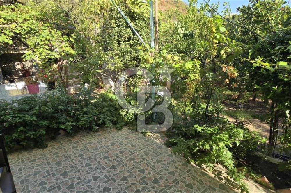 Erdek Ormanlı'da Zeytinlik İçinde Dublex Müstakil Ev