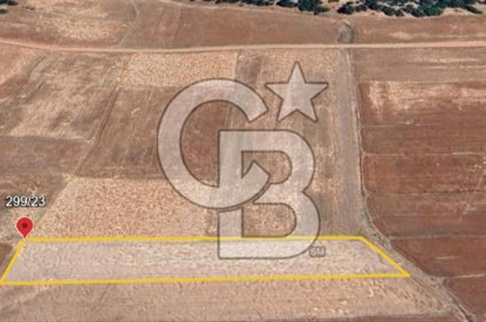 ELMALI - YUVA'DA, 3.211M2 TEK TAPU SATILIK TARLA