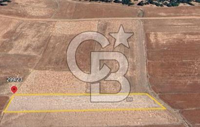 ELMALI - YUVA'DA, 3.211M2 TEK TAPU SATILIK TARLA