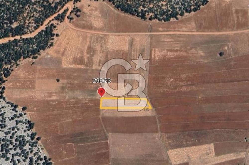 ELMALI - YUVA'DA, 3.211M2 TEK TAPU SATILIK TARLA