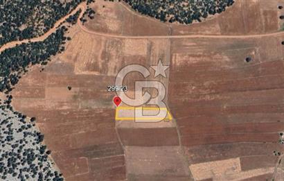 ELMALI - YUVA'DA, 3.211M2 TEK TAPU SATILIK TARLA