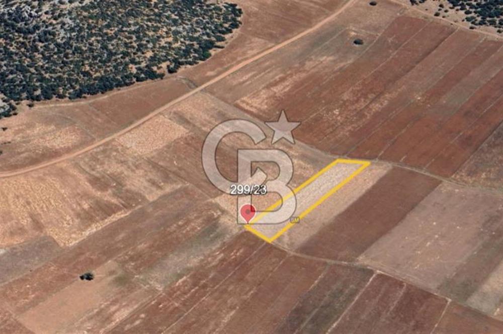 ELMALI - YUVA'DA, 3.211M2 TEK TAPU SATILIK TARLA