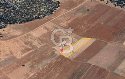 ELMALI - YUVA'DA, 3.211M2 TEK TAPU SATILIK TARLA