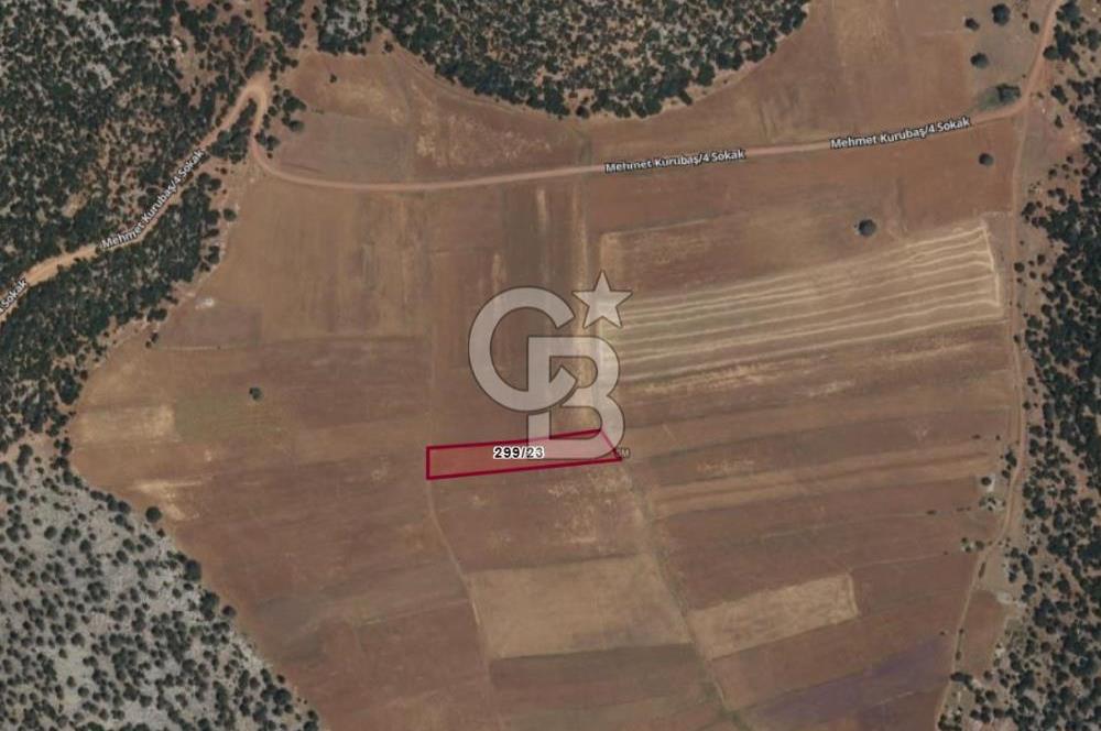 ELMALI - YUVA'DA, 3.211M2 TEK TAPU SATILIK TARLA