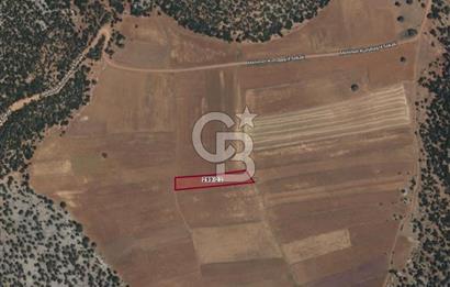 ELMALI - YUVA'DA, 3.211M2 TEK TAPU SATILIK TARLA