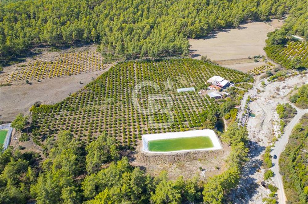 CB ARDENDEN ANTALYA KAŞ ORTABAĞ'DA SATILIK TARLA VE KÖY EVİ