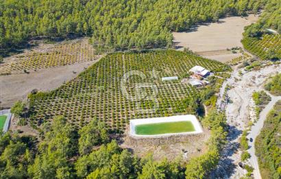 CB ARDENDEN ANTALYA KAŞ ORTABAĞ'DA SATILIK TARLA VE KÖY EVİ