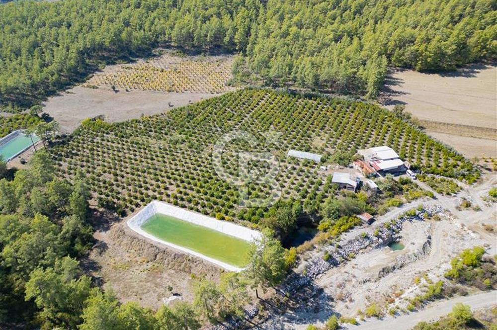 CB ARDENDEN ANTALYA KAŞ ORTABAĞ'DA SATILIK TARLA VE KÖY EVİ