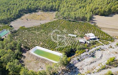 CB ARDENDEN ANTALYA KAŞ ORTABAĞ'DA SATILIK TARLA VE KÖY EVİ