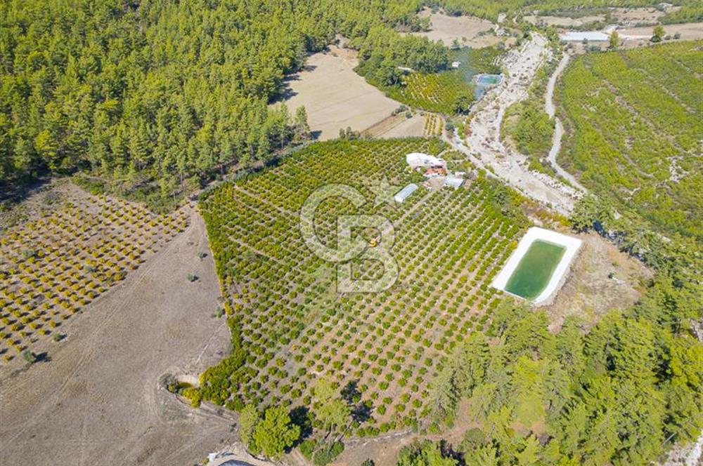 CB ARDENDEN ANTALYA KAŞ ORTABAĞ'DA SATILIK TARLA VE KÖY EVİ