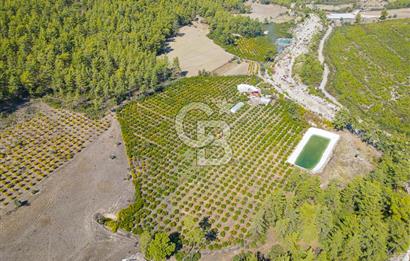 CB ARDENDEN ANTALYA KAŞ ORTABAĞ'DA SATILIK TARLA VE KÖY EVİ