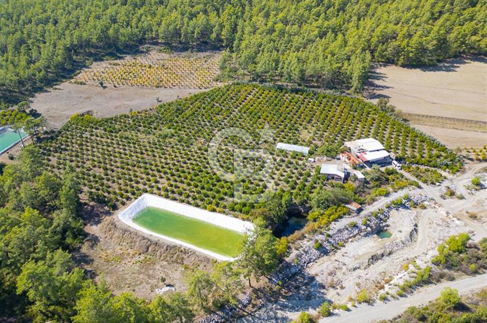 CB ARDENDEN ANTALYA KAŞ ORTABAĞ'DA SATILIK TARLA VE KÖY EVİ