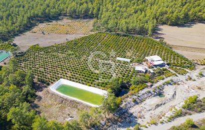 CB ARDENDEN ANTALYA KAŞ ORTABAĞ'DA SATILIK TARLA VE KÖY EVİ