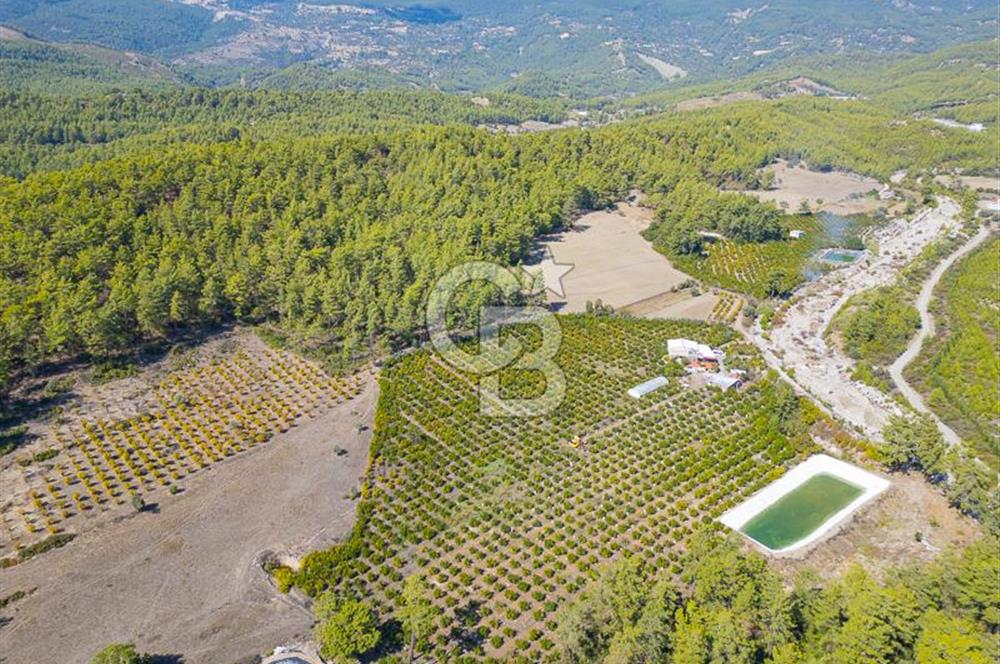 CB ARDENDEN ANTALYA KAŞ ORTABAĞ'DA SATILIK TARLA VE KÖY EVİ