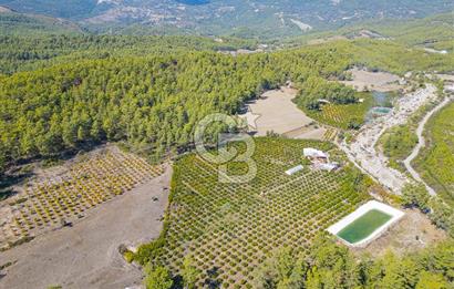 CB ARDENDEN ANTALYA KAŞ ORTABAĞ'DA SATILIK TARLA VE KÖY EVİ