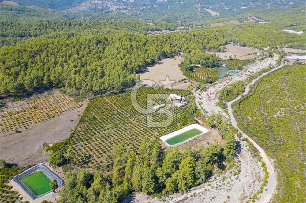 CB ARDENDEN ANTALYA KAŞ ORTABAĞ'DA SATILIK TARLA VE KÖY EVİ