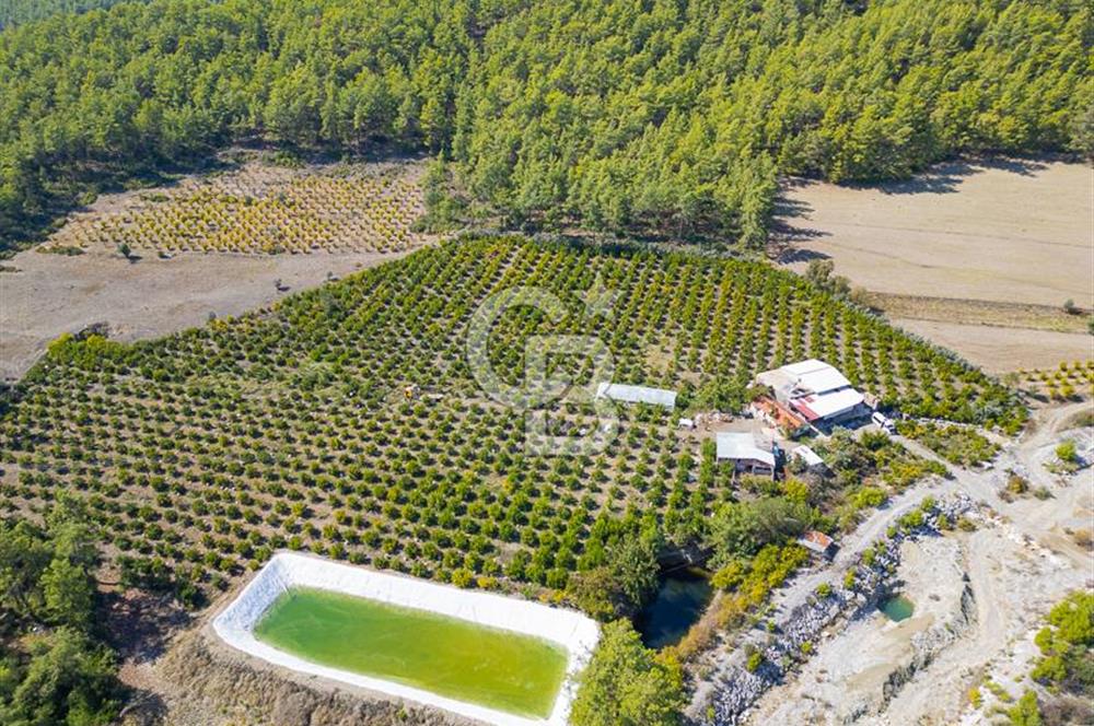 CB ARDENDEN ANTALYA KAŞ ORTABAĞ'DA SATILIK TARLA VE KÖY EVİ