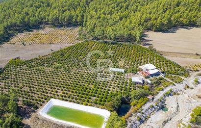 CB ARDENDEN ANTALYA KAŞ ORTABAĞ'DA SATILIK TARLA VE KÖY EVİ