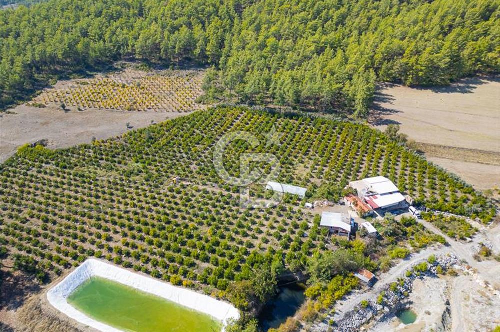 CB ARDENDEN ANTALYA KAŞ ORTABAĞ'DA SATILIK TARLA VE KÖY EVİ