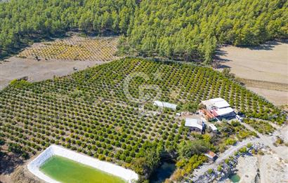 CB ARDENDEN ANTALYA KAŞ ORTABAĞ'DA SATILIK TARLA VE KÖY EVİ