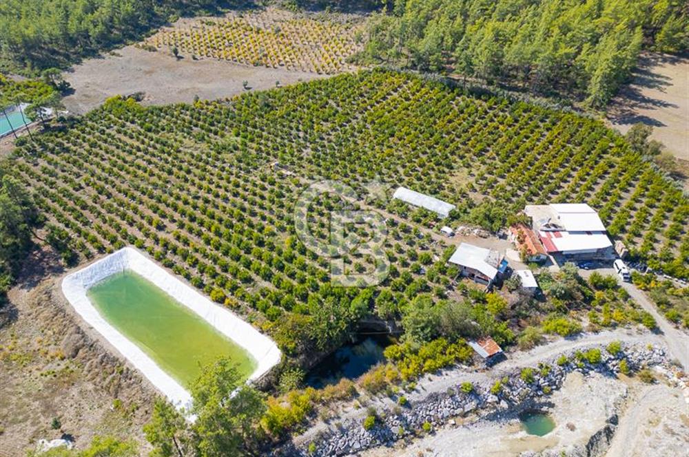 CB ARDENDEN ANTALYA KAŞ ORTABAĞ'DA SATILIK TARLA VE KÖY EVİ