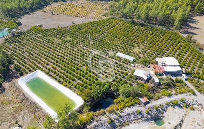 CB ARDENDEN ANTALYA KAŞ ORTABAĞ'DA SATILIK TARLA VE KÖY EVİ