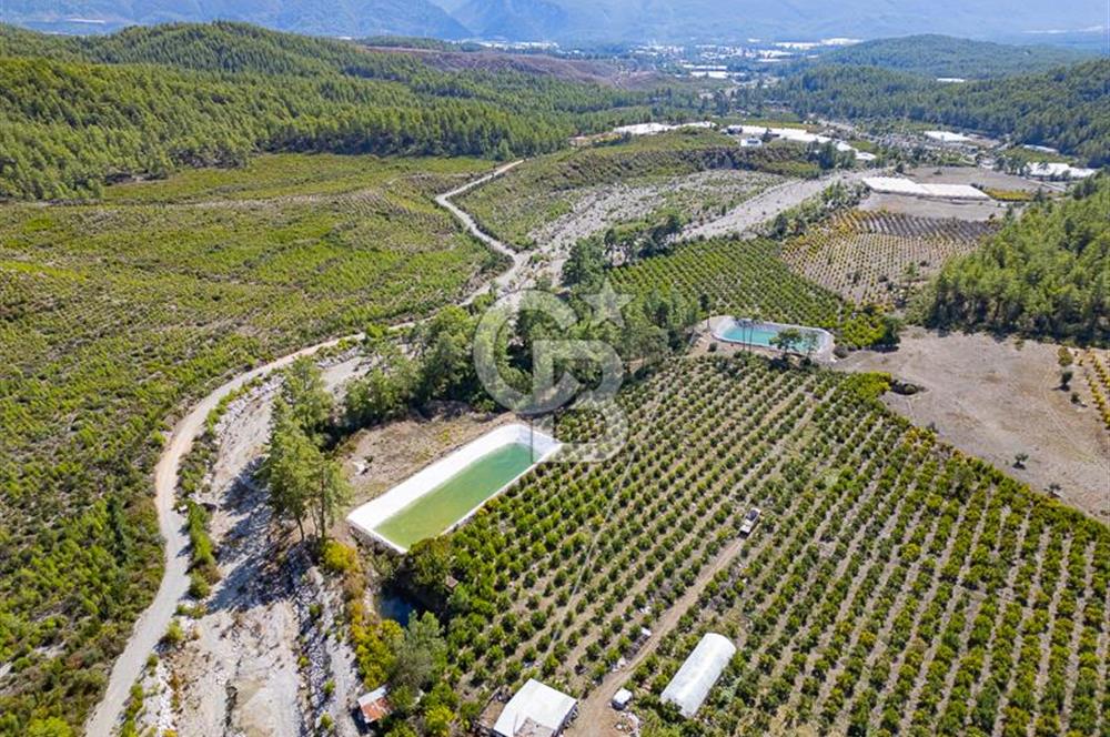 CB ARDENDEN ANTALYA KAŞ ORTABAĞ'DA SATILIK TARLA VE KÖY EVİ