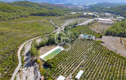 CB ARDENDEN ANTALYA KAŞ ORTABAĞ'DA SATILIK TARLA VE KÖY EVİ