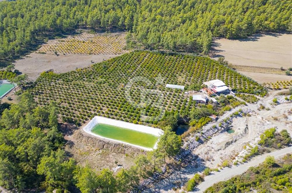 CB ARDENDEN ANTALYA KAŞ ORTABAĞ'DA SATILIK TARLA VE KÖY EVİ