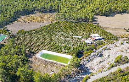 CB ARDENDEN ANTALYA KAŞ ORTABAĞ'DA SATILIK TARLA VE KÖY EVİ