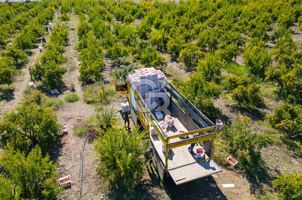 CB ARDENDEN ANTALYA KAŞ ORTABAĞ'DA SATILIK TARLA VE KÖY EVİ