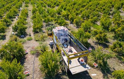 CB ARDENDEN ANTALYA KAŞ ORTABAĞ'DA SATILIK TARLA VE KÖY EVİ