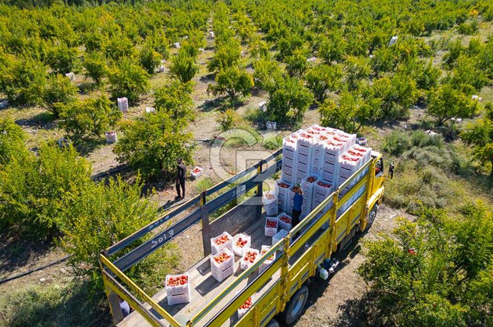 CB ARDENDEN ANTALYA KAŞ ORTABAĞ'DA SATILIK TARLA VE KÖY EVİ