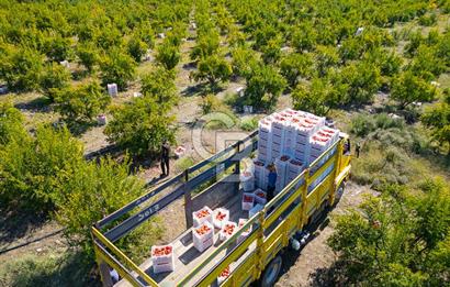 CB ARDENDEN ANTALYA KAŞ ORTABAĞ'DA SATILIK TARLA VE KÖY EVİ