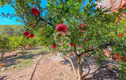 CB ARDENDEN ANTALYA KAŞ ORTABAĞ'DA SATILIK TARLA VE KÖY EVİ