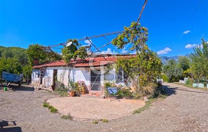 CB ARDENDEN ANTALYA KAŞ ORTABAĞ'DA SATILIK TARLA VE KÖY EVİ