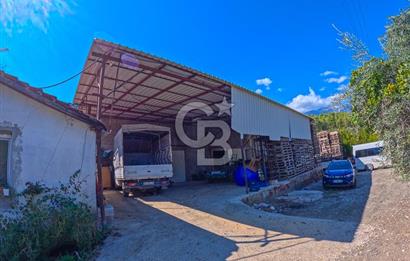 CB ARDENDEN ANTALYA KAŞ ORTABAĞ'DA SATILIK TARLA VE KÖY EVİ