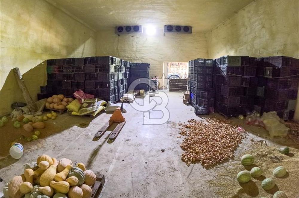 CB ARDENDEN ANTALYA KAŞ ORTABAĞ'DA SATILIK TARLA VE KÖY EVİ