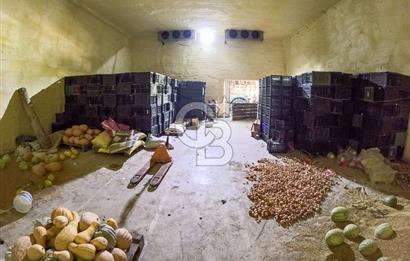 CB ARDENDEN ANTALYA KAŞ ORTABAĞ'DA SATILIK TARLA VE KÖY EVİ