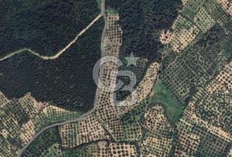 İZMİR ALİAĞA BOZKÖY MAHALLESİNDE SATILIK 10.509 M2 TARLA