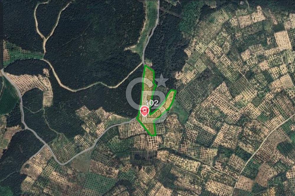 İZMİR ALİAĞA BOZKÖY MAHALLESİNDE SATILIK 10.509 M2 TARLA