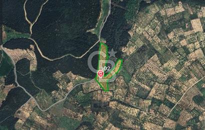 İZMİR ALİAĞA BOZKÖY MAHALLESİNDE SATILIK 10.509 M2 TARLA