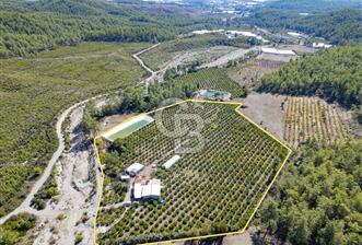 CB ARDENDEN ANTALYA KAŞ ORTABAĞ'DA SATILIK TARLA VE KÖY EVİ