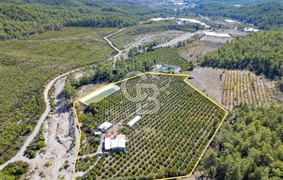 CB ARDENDEN ANTALYA KAŞ ORTABAĞ'DA SATILIK TARLA VE KÖY EVİ