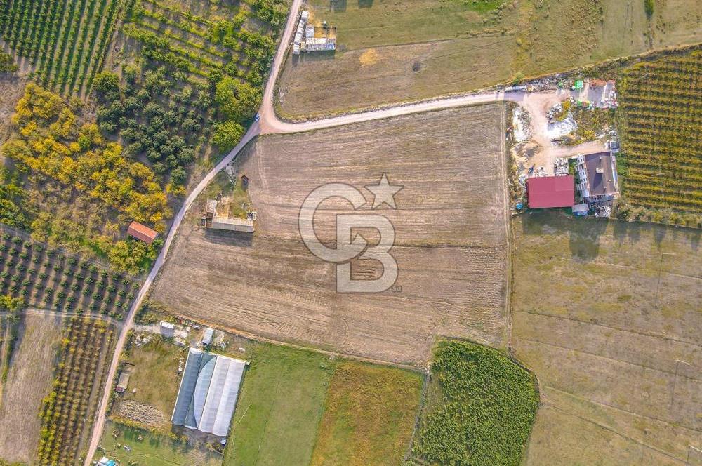 ÇANAKKALE LAPSEKİ ÇARDAK'TA HUZURLU YAŞAM İÇİN VİLLA İMARLI ARSA