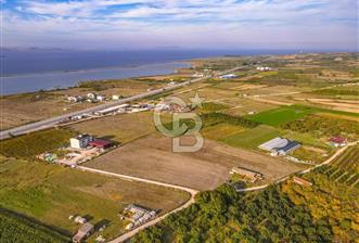 ÇANAKKALE LAPSEKİ ÇARDAK'TA HUZURLU YAŞAM İÇİN VİLLA İMARLI ARSA