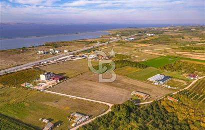 ÇANAKKALE LAPSEKİ ÇARDAK'TA HUZURLU YAŞAM İÇİN VİLLA İMARLI ARSA