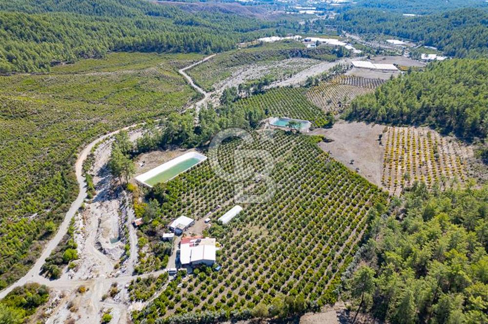 CB ARDENDEN ANTALYA KAŞ ORTABAĞ'DA SATILIK TARLA VE KÖY EVİ