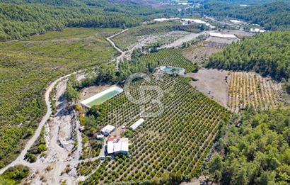 CB ARDENDEN ANTALYA KAŞ ORTABAĞ'DA SATILIK TARLA VE KÖY EVİ